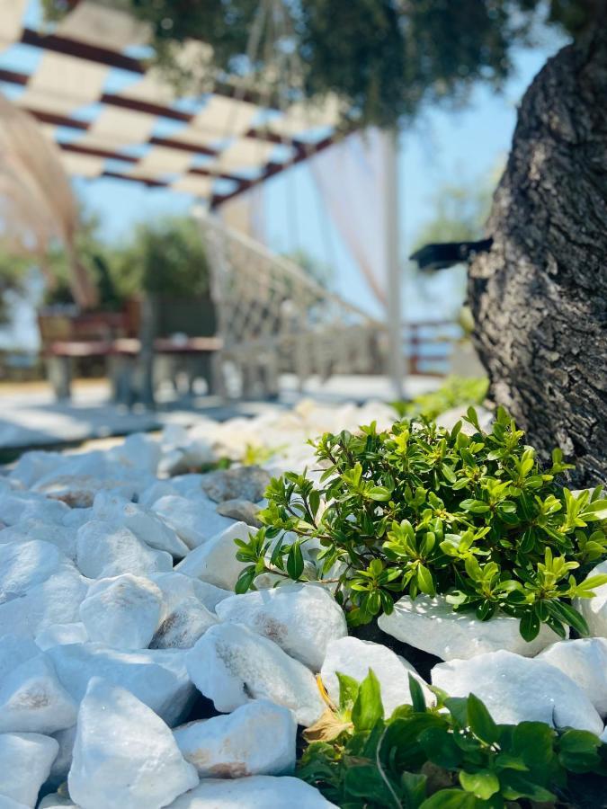 Dream House Villa Aliki  Bagian luar foto