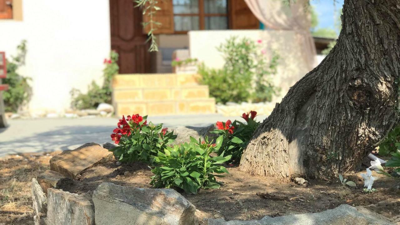 Dream House Villa Aliki  Bagian luar foto